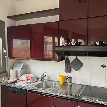 2 Bedrooms Large Luxury With View Massagno 9a * Lugano