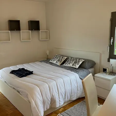 Apartment 2 Bedrooms Large Luxury With View Massagno 9a